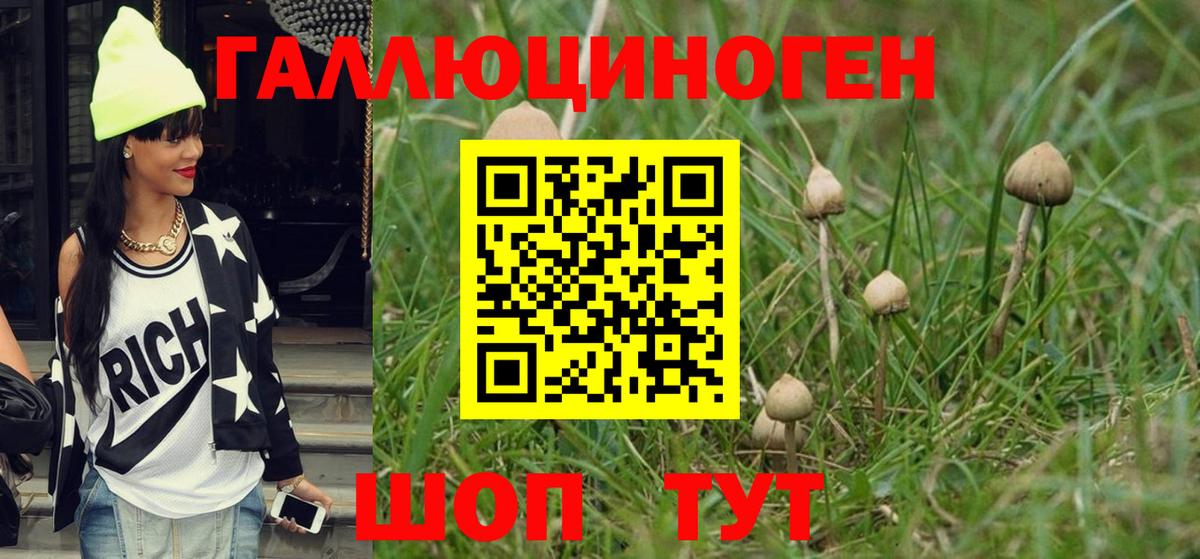 Псилоцибиновые грибы Psilocybe Мурино