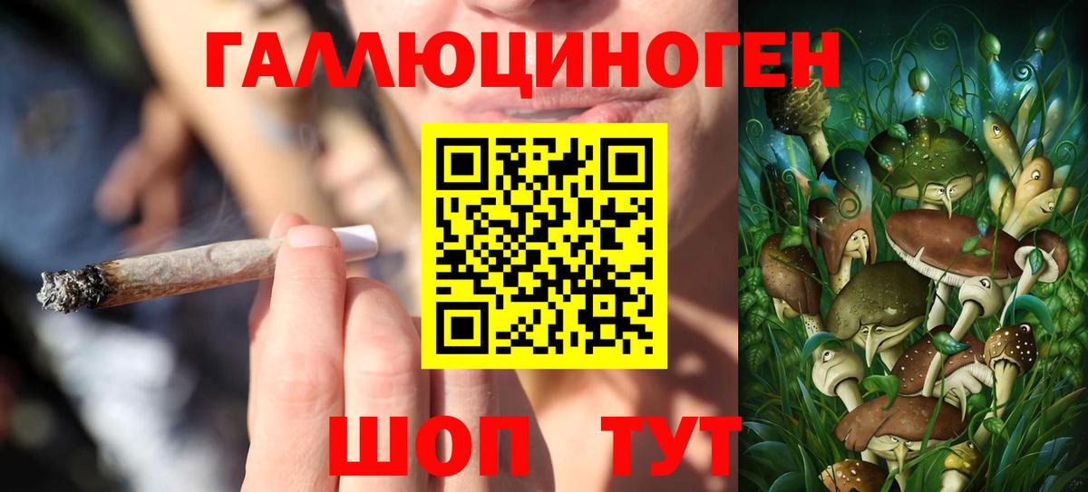 Псилоцибиновые грибы GOLDEN TEACHER  Вход с VPN  Мурино 